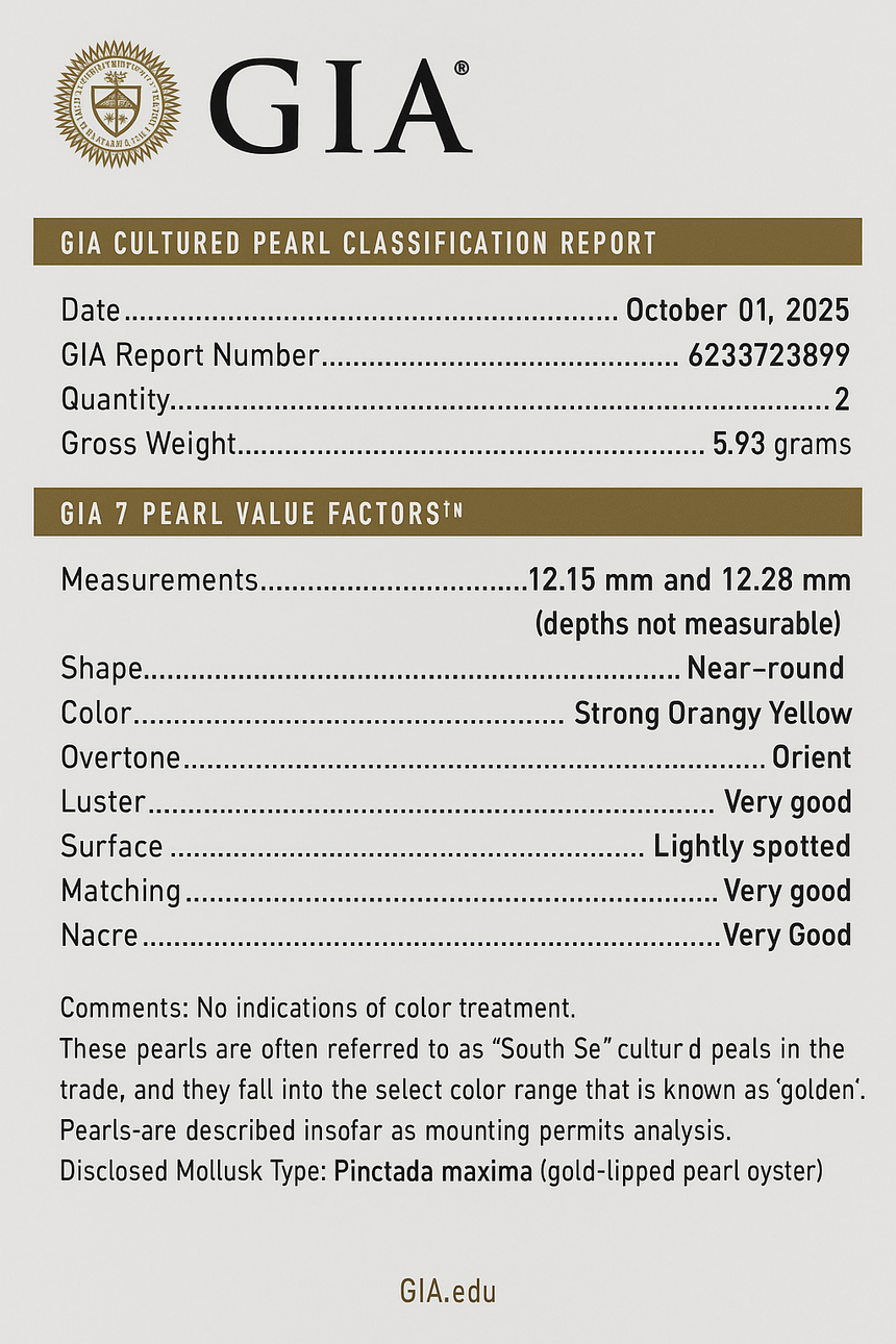 Golden South Sea Pearl Earrings in 14K Gold