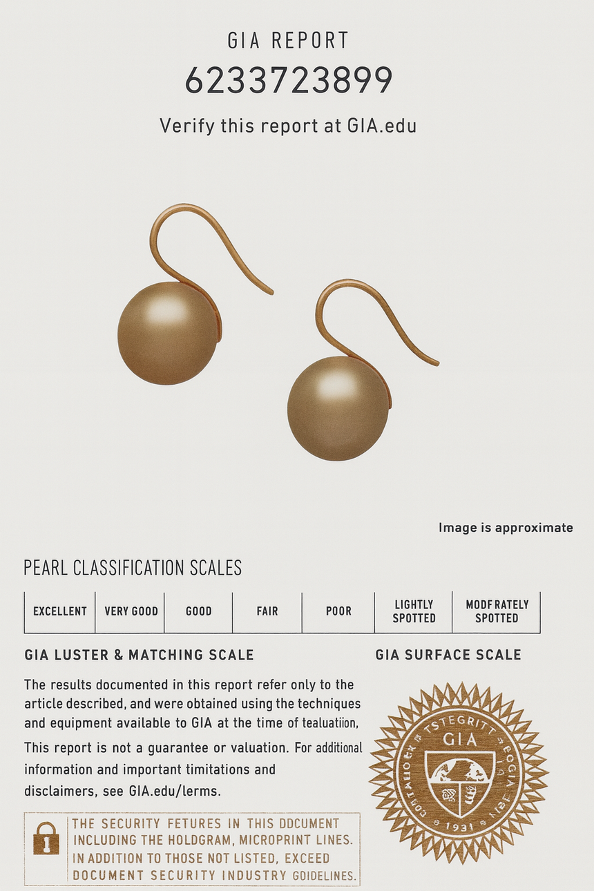 Golden South Sea Pearl Earrings in 14K Gold